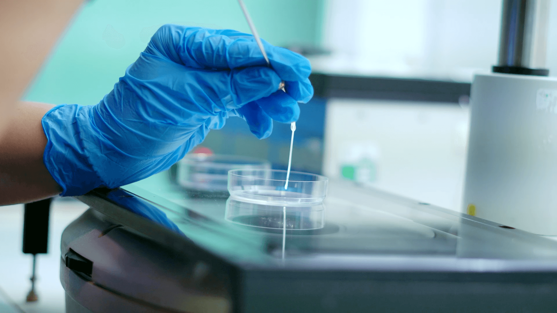 Clinician performing the egg collection procedure