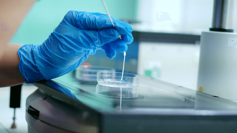 Clinician performing the egg collection procedure